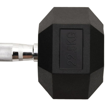 Berkfield Dumbbell 22.5 kg Cast Iron