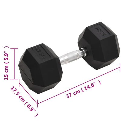 Berkfield Dumbbell 22.5 kg Cast Iron