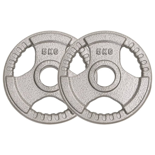 Berkfield Olympic Weight Plates 2 pcs 10 kg Cast Iron