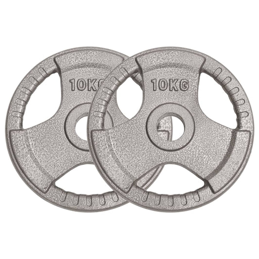 Berkfield Olympic Weight Plates 2 pcs 20 kg Cast Iron