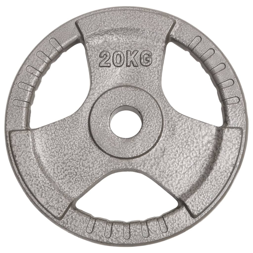 Berkfield Olympic Weight Plate 20 kg Cast Iron