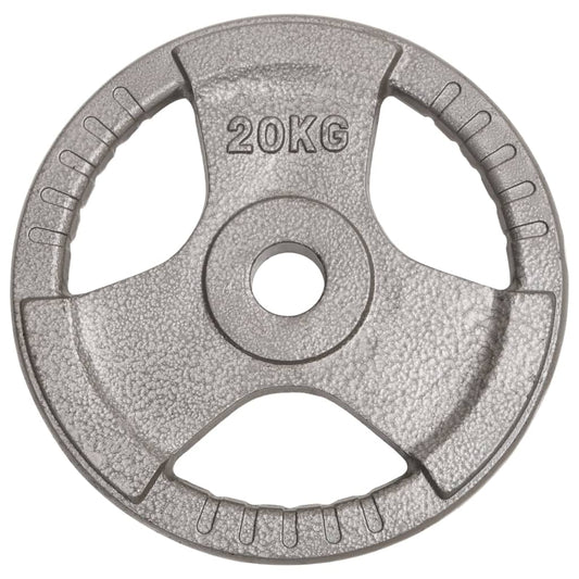 Berkfield Olympic Weight Plate 20 kg Cast Iron