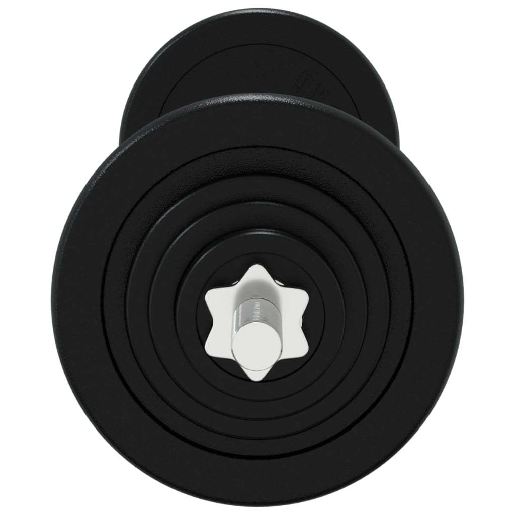 Berkfield Barbell with Plates Set 30 kg Cast Iron & Chrome Plated Steel