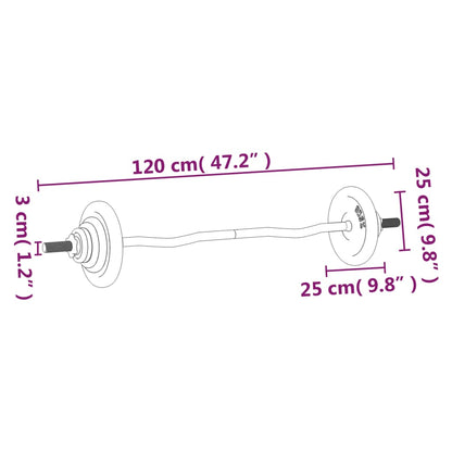 Berkfield Barbell with Plates Set 30 kg Cast Iron & Chrome Plated Steel