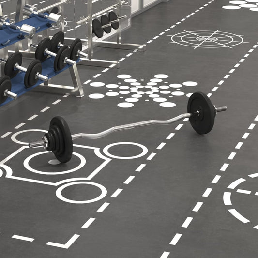 Berkfield Barbell with Plates Set 30 kg Cast Iron & Chrome Plated Steel