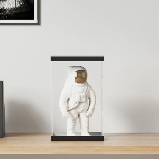 Berkfield Display Box Transparent 22x18x35 cm Acrylic