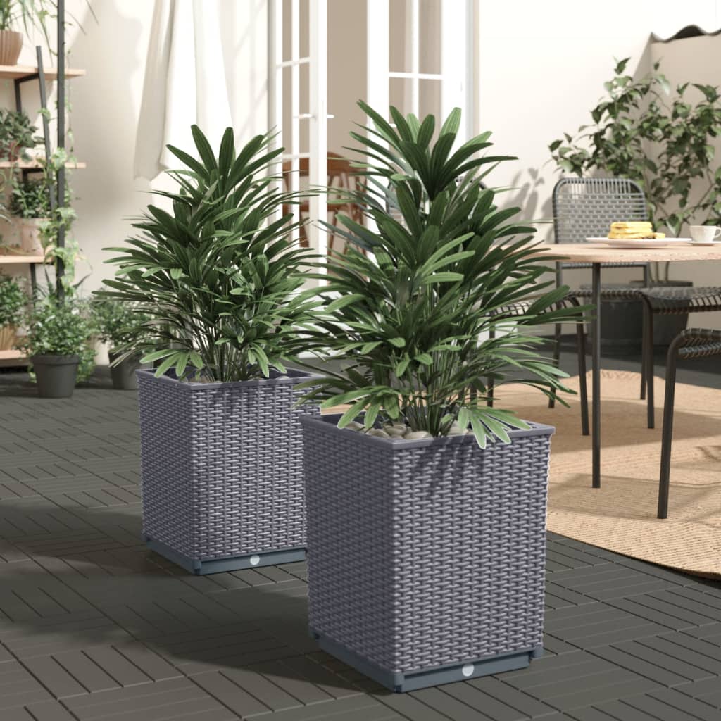 Berkfield Planters 2 pcs Dark Grey 30x30x37 cm Polypropylene