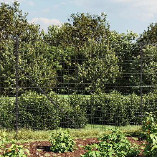 Berkfield Wire Mesh Fence with Flange Anthracite 2x25 m