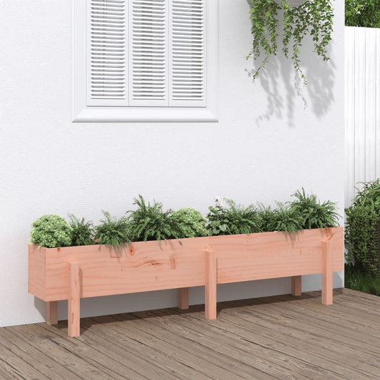 Berkfield Garden Raised Bed 160x30x38 cm Solid Wood Douglas